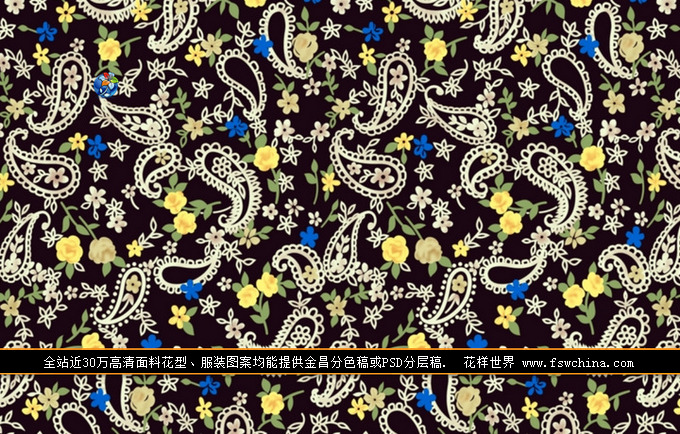 佩斯利 佩茲利 腰果花 印花圖案 面料花型 花型設(shè)計(jì) 佩斯利 佩茲利 腰果花 印花圖案 面料花型 花型設(shè)計(jì)